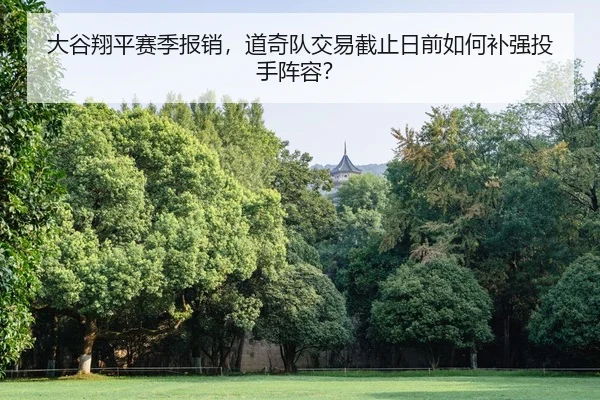 da-gu-xiang-ping-sai-ji-bao-xiao-dao-qi-dui-jiao-yi-jie-zhi-ri-qian-ru-he-bu-qiang-tou-shou-zhen-rong-2-200.jpg